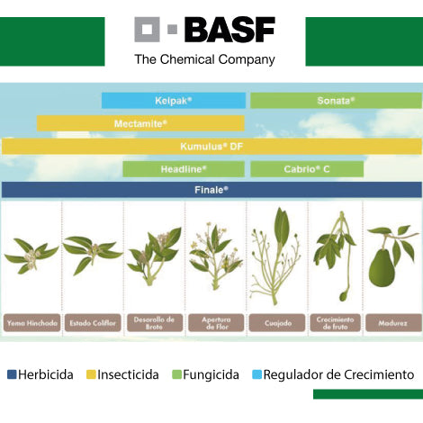 Aplicación para cultivo aguacate, productos BASF
