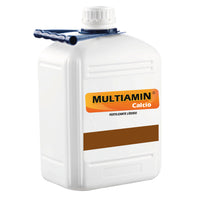 Multiamin Calcio Agroestime 5 L Fertilizante