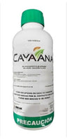 Cayaana 1 Litro  Herbicida