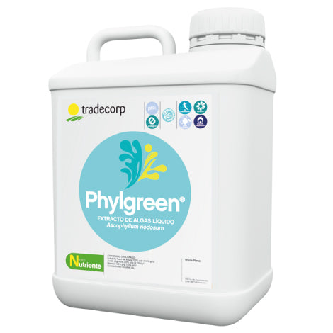 Phylgreen 20 L Fertilizante